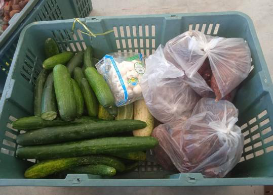 Farm-Fresh Surplus Produce & Egg Rescue Operations - Photo 9