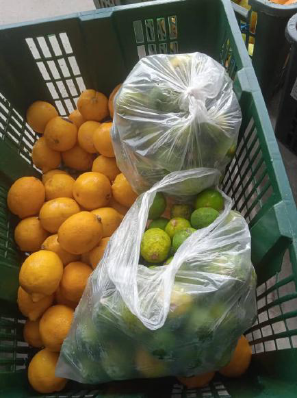 Farm-Fresh Surplus Produce & Egg Rescue Operations - Photo 10