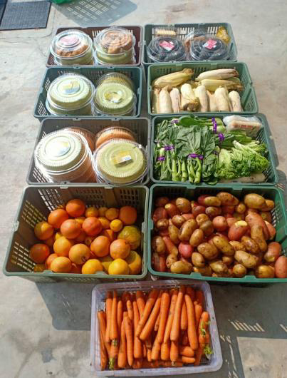 Farm-Fresh Surplus Produce & Egg Rescue Operations - Photo 12