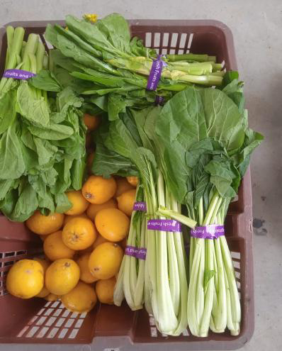 Farm-Fresh Surplus Produce & Egg Rescue Operations - Photo 13