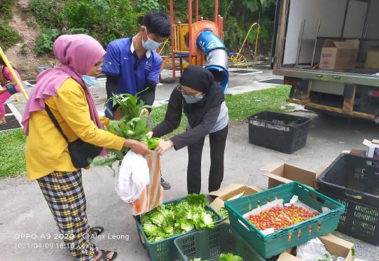 Farm-Fresh Surplus Produce & Egg Rescue Operations - Photo 1