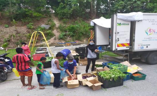 Farm-Fresh Surplus Produce & Egg Rescue Operations - Photo 4