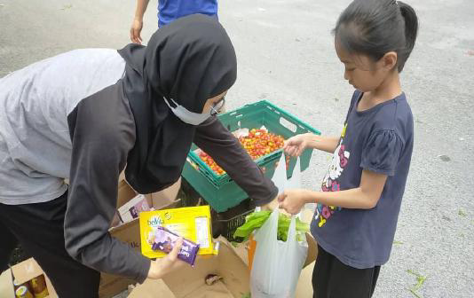Farm-Fresh Surplus Produce & Egg Rescue Operations - Photo 5