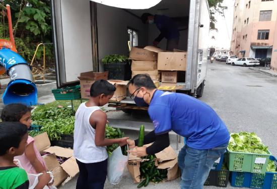 Farm-Fresh Surplus Produce & Egg Rescue Operations - Photo 6
