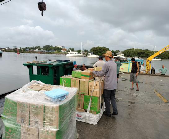 Kelantan Emergency Flood Relief & Food Bank Establishment (Rantau Panjang & Pasir Mas) - Photo 5